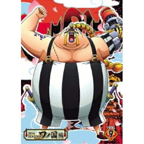 DVD / TV 애니메이션 / ONE PIECE 원피스 20TH 시즌 와노 국편 PIECE.9 / EYBA-13059