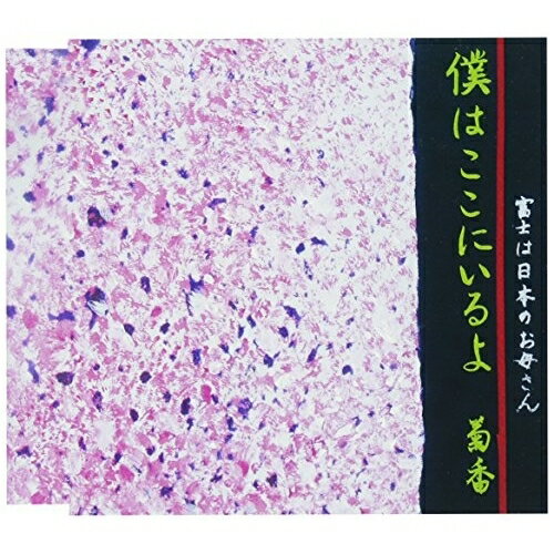 CD / ��ƣ�ƹ� / �ͤϤ����ˤ����/�ٻΤ����ܤΤ��줵�� (�λ���) / TKCY-99276