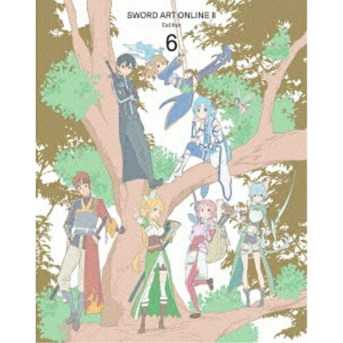 DVD / TV 애니메이션 / 소드 아트 온라인 II 6 (일반 버전) / ANSB-11131