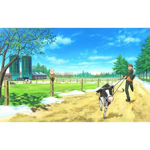 楽天市場】銀の匙 アニメ ボックスの通販