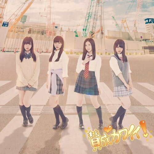 樂天商城 - CD / SKE48 / 賛成カワイイ! (CD+DVD) (初回生産限定盤/Type-D) / AVCD-48848