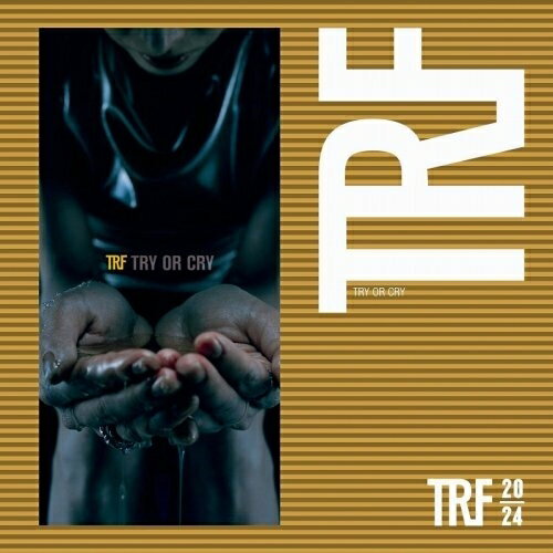 CD / TRF / TRY OR CRY (廉価盤) / AVCD-31117