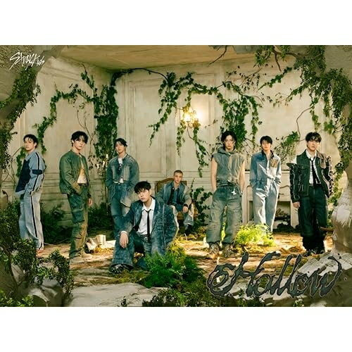 CD / Stray Kids / Hollow (CD+Blu-ray) (初回生産限定盤A) / ESCL-6103