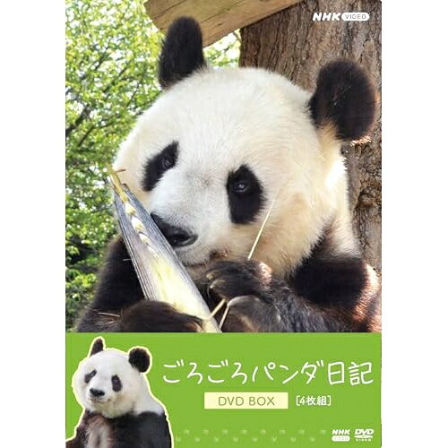 【 お取り寄せにお時間をいただく商品となります 】　・入荷まで長期お時間をいただく場合がございます。　・メーカーの在庫状況によってはお取り寄せが出来ない場合がございます。　・発送の都合上すべて揃い次第となりますので単品でのご注文をオススメいたします。　・手配前に「ご継続」か「キャンセル」のご確認を行わせていただく場合がございます。　当店からのメールを必ず受信できるようにご設定をお願いいたします。 ごろごろパンダ日記 DVD BOX (通常版)趣味教養　発売日 : 2026年3月27日　種別 : DVD　JAN : 4988066250057　商品番号 : NSDX-54708