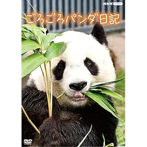 【取寄商品】DVD / ドキュメンタリー / ごろごろパンダ日記 / NSDS-54378