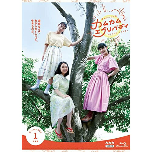 【 お取り寄せにお時間をいただく商品となります 】　・入荷まで長期お時間をいただく場合がございます。　・メーカーの在庫状況によってはお取り寄せが出来ない場合がございます。　・発送の都合上すべて揃い次第となりますので単品でのご注文をオススメいたします。　・手配前に「ご継続」か「キャンセル」のご確認を行わせていただく場合がございます。　当店からのメールを必ず受信できるようにご設定をお願いいたします。 連続テレビ小説 カムカムエヴリバディ 完全版 Blu-ray BOX1(Blu-ray)国内TVドラマ上白石萌音、松村北斗、村上虹郎、村雨辰剛、小野花梨、岡田結実、浅越ゴエ、金子隆博　発売日 : 2022年4月22日　種別 : BD　JAN : 4988066238963　商品番号 : NSBX-25353