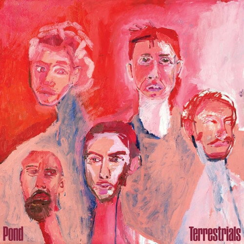 CD / Pond / Terrestrials (限定生産盤) / MV-1JCD発売
