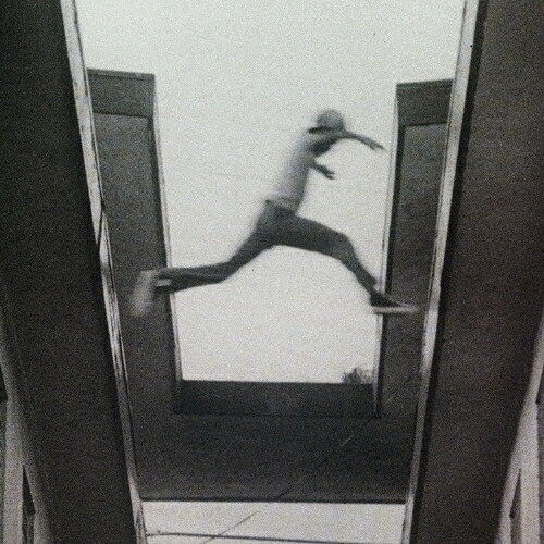 【取寄商品】CD / Mos Def / The Ecstatic (限定生産盤) / RSE-395JCD[8/19]発売