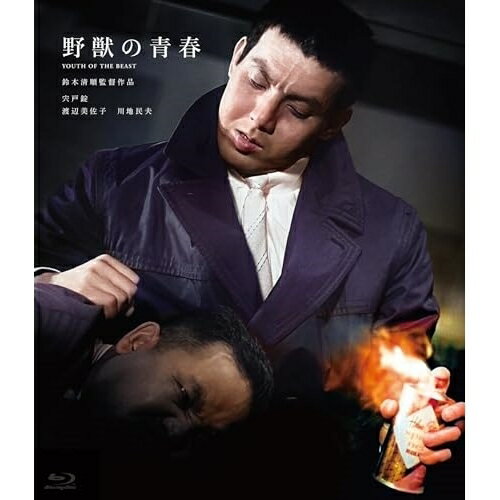【取寄商品】BD / 邦画 / 野獣の青春(Blu-ray) / HPXN-600
