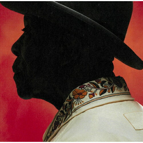 CD / バディ・ガイ / 終わりなきブルースの旅 (解説歌詞対訳付) / SICP-6709