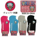 ONEPIECE ワンピース チョッパー 刺繍 スニーカーインソックス レディス 靴下 キャラソックス