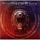 CD / ヴォイシズ・オヴ・ロック / MMVII / MICP-10678