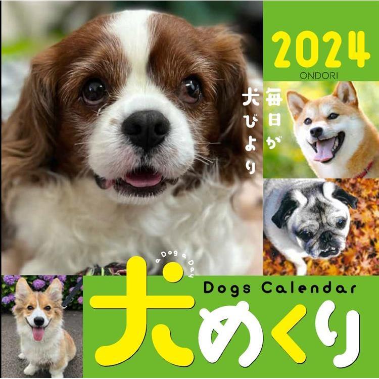 sd-ck-d24 中央経済社 カレンダー 犬めくり 日めくりカレンダー 台座付き リフィル 2024 B6変型 いぬ CK-D24-01 CK-D24-02