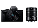 DC.G100DW-K パナソニック Panasonic LUMIX ミラーレス一眼カメラ ダブルズームレンズキット