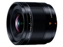 H-X09 パナソニック Panasonic LEICA DG SUMMILUX 単焦点レンズ マイクロフォーサーズ