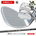 ゴルフ クラブ ウェッジ カーボン ウェッジ メンズ 非適合 ダイナミクス ハイスピン 標準カーボンシャフト仕様 48度 52度 57度 R / S バンス角 ...