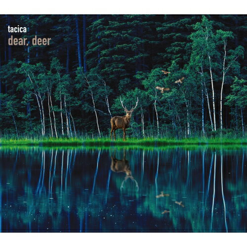 CD / tacica / BEST ALBUM dear, deer (CD+DVD) (初回生産限定盤B) / SECL-2735
