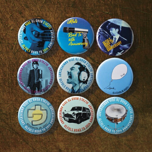 CD / ウルフルズ / ウル盤 (CD+Blu-ray) (歌詞付) (初回盤) / VIZL-1924