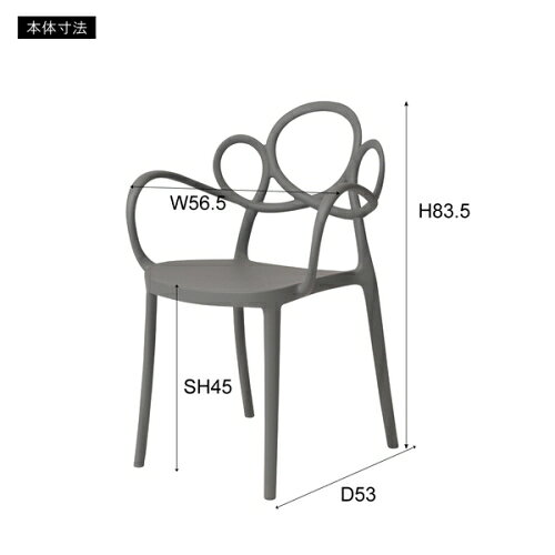 東谷パルネ アームチェア (ブラック) (W56.5×D53×H83.5×SH45)【送料無料(北海道・沖縄送料別)】 [3]