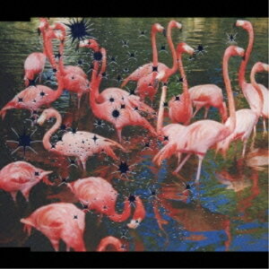 CD / L'Arc-en-Ciel / 瞳の住人 / KSCL-915