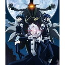 DVD / TVアニメ / D.Gray-man ディー・グレイマン 12 (通常版) / ANSB-2452