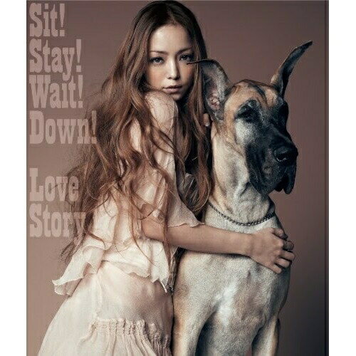 CD / 安室奈美恵 / Sit! Stay! Wait! Down!/Love Story (CD+DVD) / AVCD-48267