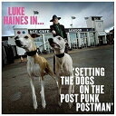 【取寄商品】CD / ルーク・ヘインズ / ルーク・ヘインズ・イン・セッティング・ザ・ドッグス・オン・ザ・ポスト・パンク・ポストマン / CDSOL-70971