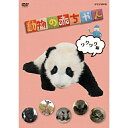 DVD / キッズ / 動物の赤ちゃん ワクワク編 / COBC-6747