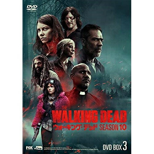 ڼʡDVD / TVɥ / 󥰡ǥå10 DVD BOX-3 / DABA-5803