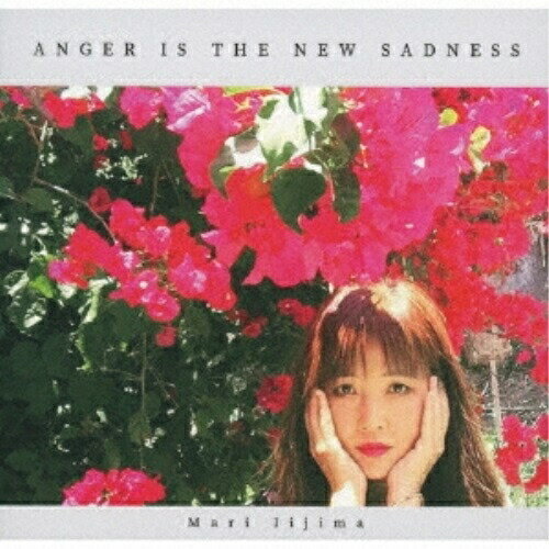 CD / Mari Iijima / ANGER IS THE NEW SADNESS (紙ジャケット) / DQC-1623