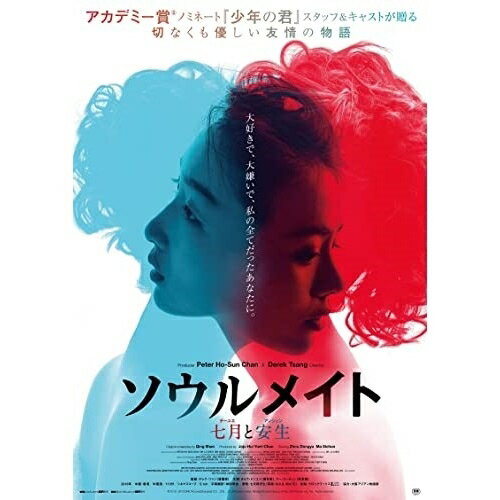 【取寄商品】DVD / 洋画 / ソウルメイト/七月と安生 / HPBR-1508