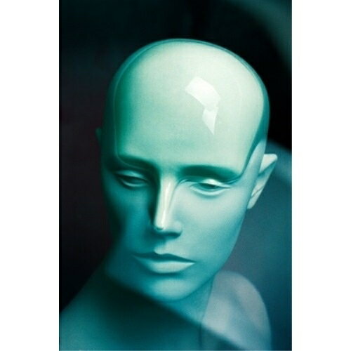 �ڼ���ʡۥ����å� / Linn Mori / Metamorphosis (�������������) / ROTP-5