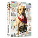 DVD / バラエティ / まさお君が行く!ポチたまペットの旅 メモリアルBOX / VPBF-13904
