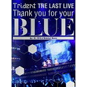 BD / アニメ / Trident THE LAST LIVE 「Thank you for your 