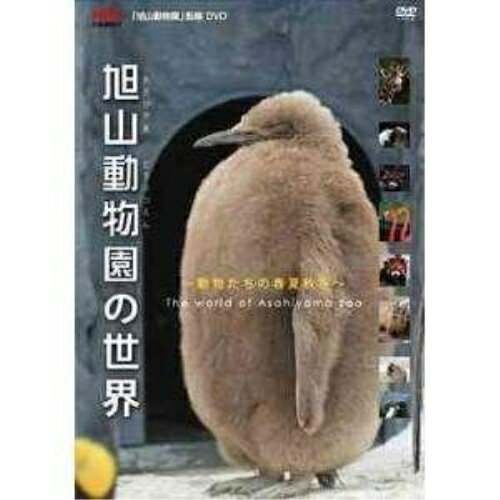DVD / 趣味教養 / 旭山動物園の世界～動物たちの春夏秋冬 / SSBX-2178