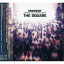 CD / THE SQUARE / MOMENT〜MEMORIAL LIVE at CHICKEN GEORGE〜 / VRCL-3334 3,142円