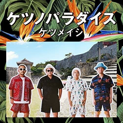 CD / ケツメイシ / ケツノパラダイス (2CD+Blu-ray) / AVCD-96632