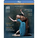 【取寄商品】BD / クラシック / 『ダンシズ・アット・ア・ギャザリング』『ザ・チェリスト』(Blu-ray) / NYDX-50126