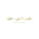 CD / Chicago Poodle / 10th Anniversary Best (2CD+DVD) (初回限定盤) / GZCA-5288