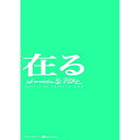 【取寄商品】DVD / サンダルテレフォン / 2ND ANNIVERSARY LIVE ”在る” at WWW / SDTP-11