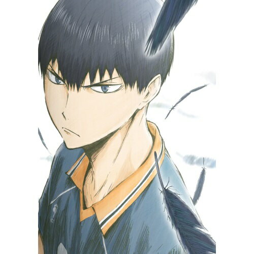樂天商城 - 【取寄商品】BD / TVアニメ / ハイキュー!! 烏野高校 VS 白鳥沢学園高校 Vol.5(Blu-ray) / TBR-26275D