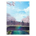 ★BD / 邦画 / 君の膵臓をたべたい 豪華版(Blu-ray) (本編ディスク+特典ディスク) (豪華版) / TBR-28059D