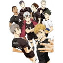 【取寄商品】DVD / TVアニメ / ハイキュー!! TO THE TOP Vol.4 / TDV-29335D