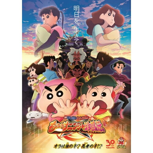 【取寄商品】DVD / 劇場アニメ / 映画 クレヨンしんちゃん もののけニンジャ珍風伝 (ライナーノーツ) / BCBA-5126