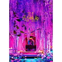 【取寄商品】BD / 邦画 / ホリック xxxHOLiC 豪華版(Blu-ray) (本編Blu-ray+特典DVD) (豪華版) / BIXJ-392