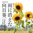 【取寄商品】CD / 眞鍋昭大 / WOWOW 連続ドラマW 雨に消えた向日葵 Original Soundtrack / OMR-36