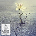 【取寄商品】CD / ラックライフ / Lily (CD+DVD) (アーティスト盤) / LACM-14869