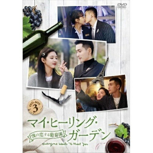 【取寄商品】DVD / 海外TVドラマ / マイ・ヒーリング・ガーデン～僕の恋する葡萄園～ DVD-BOX3 / HPBR-1973