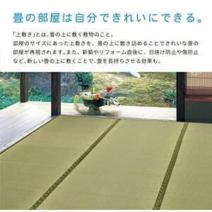 【新生活】い草カーペット 備前(びぜん) 江戸間6畳 (261cm × 352cm)【取寄商品】【北海道・沖縄送料別】 [3]