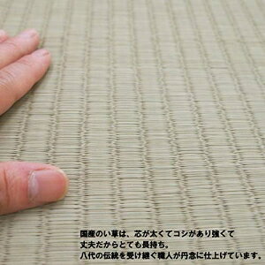 【新生活】国産い草カーペット 琥珀 江戸間6帖 (261cm × 352cm)【取寄商品】【北海道・沖縄送料別】 [3]